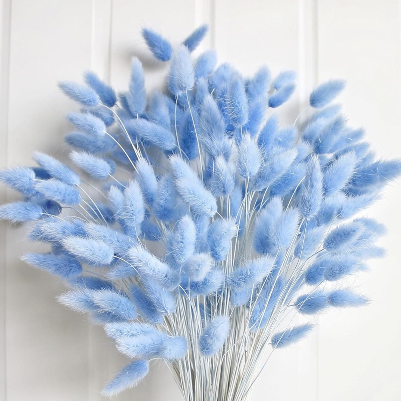 Florist Supply Vases - 100PCS Blue Hare's-tail หญ้ากระต่ายกระต่ายหาง Home Room